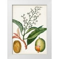 thumbnail image 1 of Turpin 24x32 White Modern Wood Framed Museum Art Print Titled - Turpin Tropical Fruit X, 1 of 4