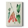 thumbnail image 1 of Turpin Tropical Botanicals I Premium Gallery Wrapped Canvas - Ready to Hang, 1 of 9