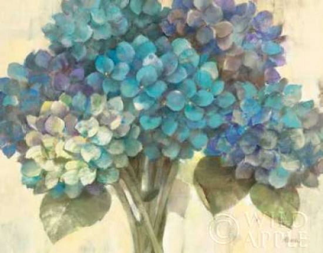 Turquoise Hydrangea Canvas Art - Albena Hristova (22 x 28)