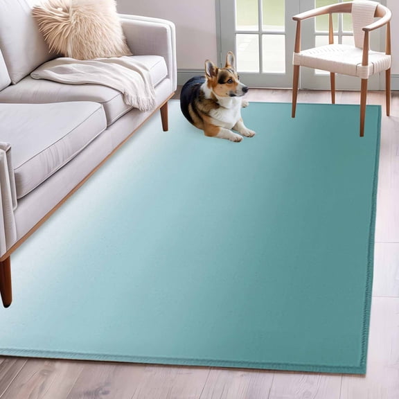 Turquoise Ombre Area Rug 3x5 FT, Non Slip Entryway Bedside Carpet, Teal White Gradient Modern Abstract Art Washable Soft Floor Carpet Indoor Mat Non-Shedding Throw Rugs for Dorm Kitchen Home Office