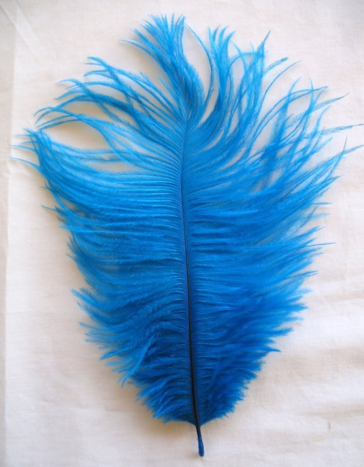 Ostrich Feather Fringe (182 cm ) 2 yard trim 5-6 (13cm-15cm) in turquoise  - Ostrich Fringe - Ostrich Feather Fringe - Feathers craft