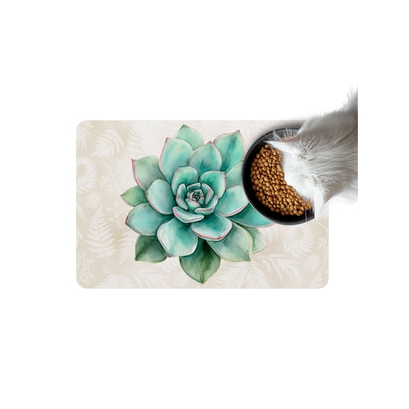 Turquoise Succulent Doormat Non Slip Diatomaceous Earth Door Mat Absorbent Quick Dry Soft Washable Entrance Rug for Bathroom Laundry Room 16"x24"