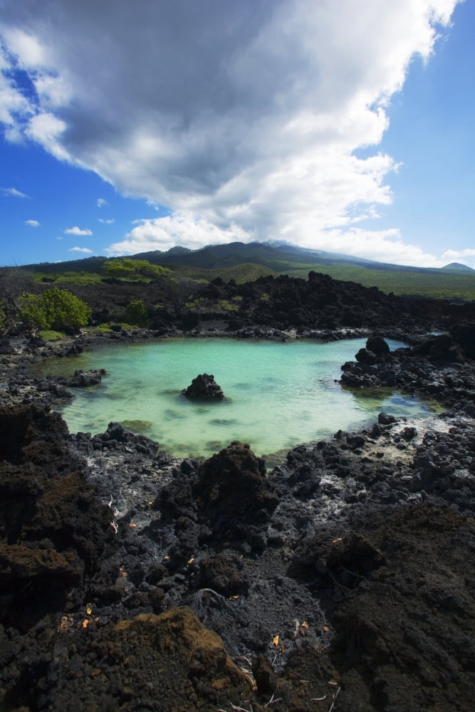 Turquoise pond Ahihi Kinau Natural Reserve Canvas Art - Ron Dahlquist Design Pics (24 x 36)