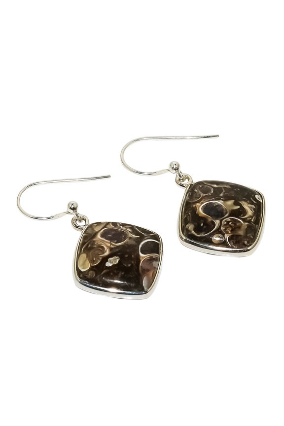 Turritella Fossil 925 Sterling Silver Earring Jewelry 1.38" SE268-26