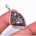 thumbnail image 1 of Turritella Fossil Agate Handmade Gemstone 925 Silver Plated Pendant 1.56" A374, Valentine's Day Gift, Birthday Gift, Beautiful Jewelry For Woman, 1 of 2