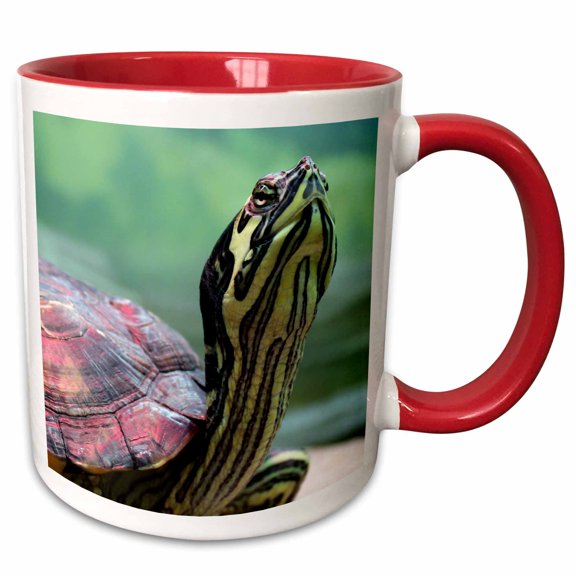3drose, Turtle, 15oz Two-tone Red Mug