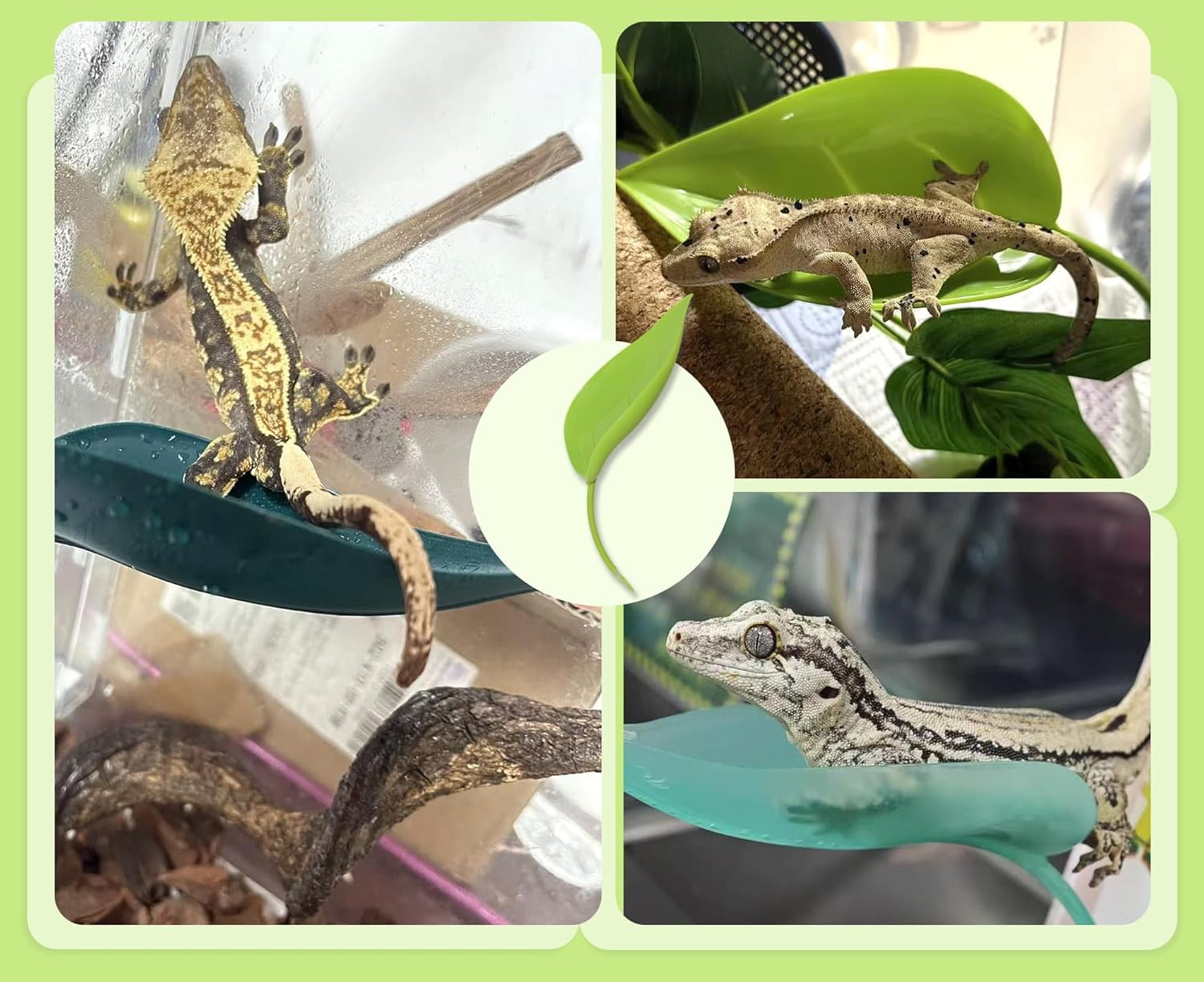 Turtle Basking Platform, Tree Frog Tank Accessories, Leaf Shape Bearded Dragon Basking Platform with Suction Cups, Leopard Gecko Tank Accessories, Turtle Tank Decor (Green)