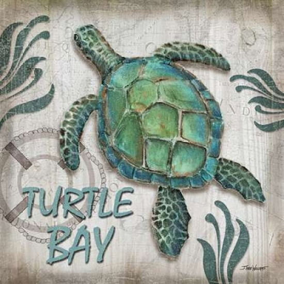 Turtle Bay Canvas Art - Todd Williams (24 x 24)
