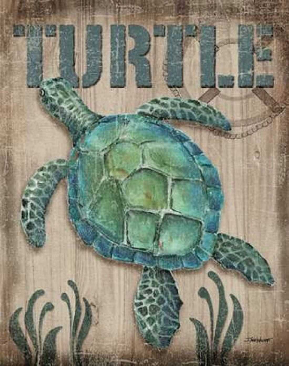 Turtle Canvas Art - Todd Williams (24 x 30)