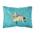 thumbnail image 1 of Turtle Canvas Fabric Decorative Pillow, 1 of 3