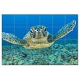 thumbnail image 1 of Turtle Ceramic Tile Mural Kitchen Backsplash Bathroom Shower, 402934-L64, 1 of 3