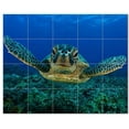 thumbnail image 1 of Turtle Ceramic Tile Mural Kitchen Backsplash Bathroom Shower, 402944-S54, 1 of 3