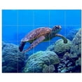 thumbnail image 1 of Turtle Ceramic Tile Mural Kitchen Backsplash Bathroom Shower, 402948-XL54, 1 of 3