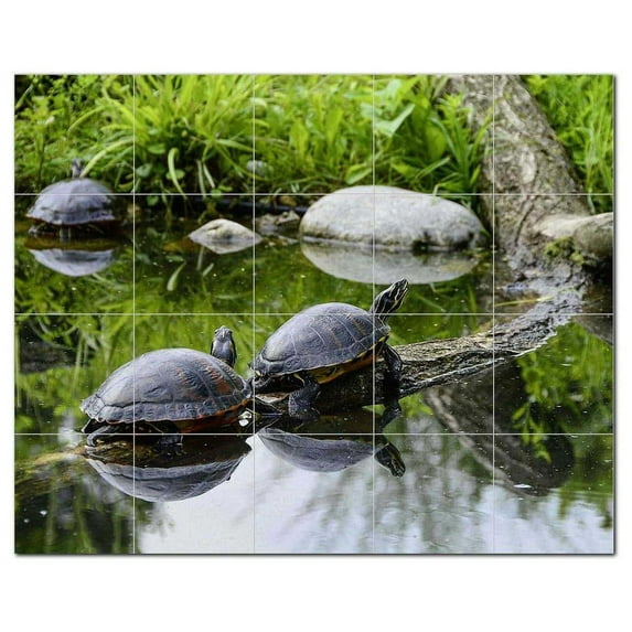 Turtle Ceramic Tile Mural Kitchen Backsplash Bathroom Shower, 402962-L54