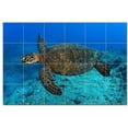 thumbnail image 1 of Turtle Ceramic Tile Mural Kitchen Backsplash Bathroom Shower, 402965-XL64, 1 of 3