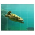 thumbnail image 1 of Turtle Ceramic Tile Mural Kitchen Backsplash Bathroom Shower, 402983-XL54, 1 of 3