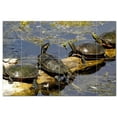 thumbnail image 1 of Turtle Ceramic Tile Mural Kitchen Backsplash Bathroom Shower, 402988-L64, 1 of 3