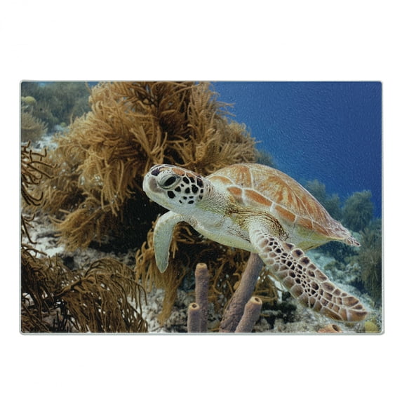 Turtle Cutting Board, Coral Reef and Sea Turtle Close up Photo Bonaire Island Waters Maritime, Decorative Tempered Glass Cutting and Serving Board, Small Size, Pale Coffee Brown Blue, by Ambesonne