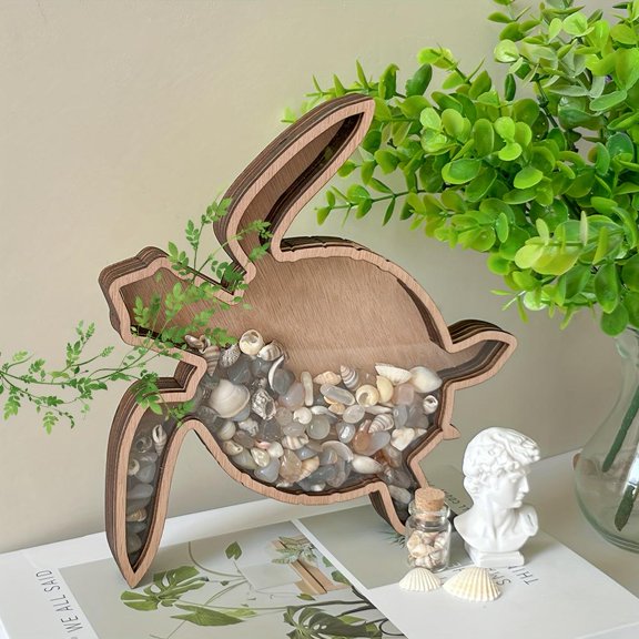 Turtle Display Box Seashell Storage Holder