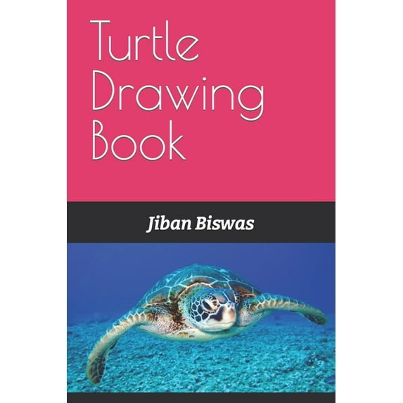 Turtle Drawing Book (Paperback)