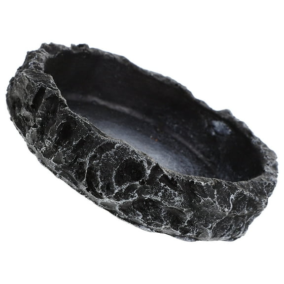 Turtle Drinking Basin Decor Reptile Bowl Reptile Food Bowl Tortoise Water Dish Reptile Supply Reptile Water Dish