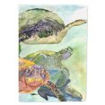 thumbnail image 1 of Turtle Garden Flag, 1 of 4