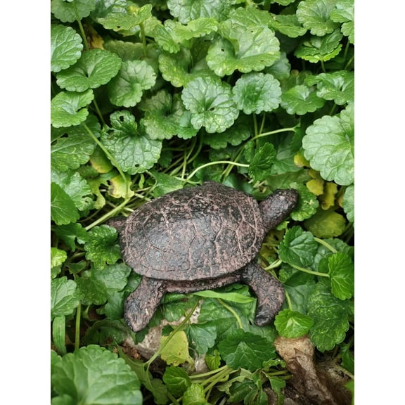 Turtle Garden Key Hider Box Outdoor Key Storage Box Decorative Key Saving Holder