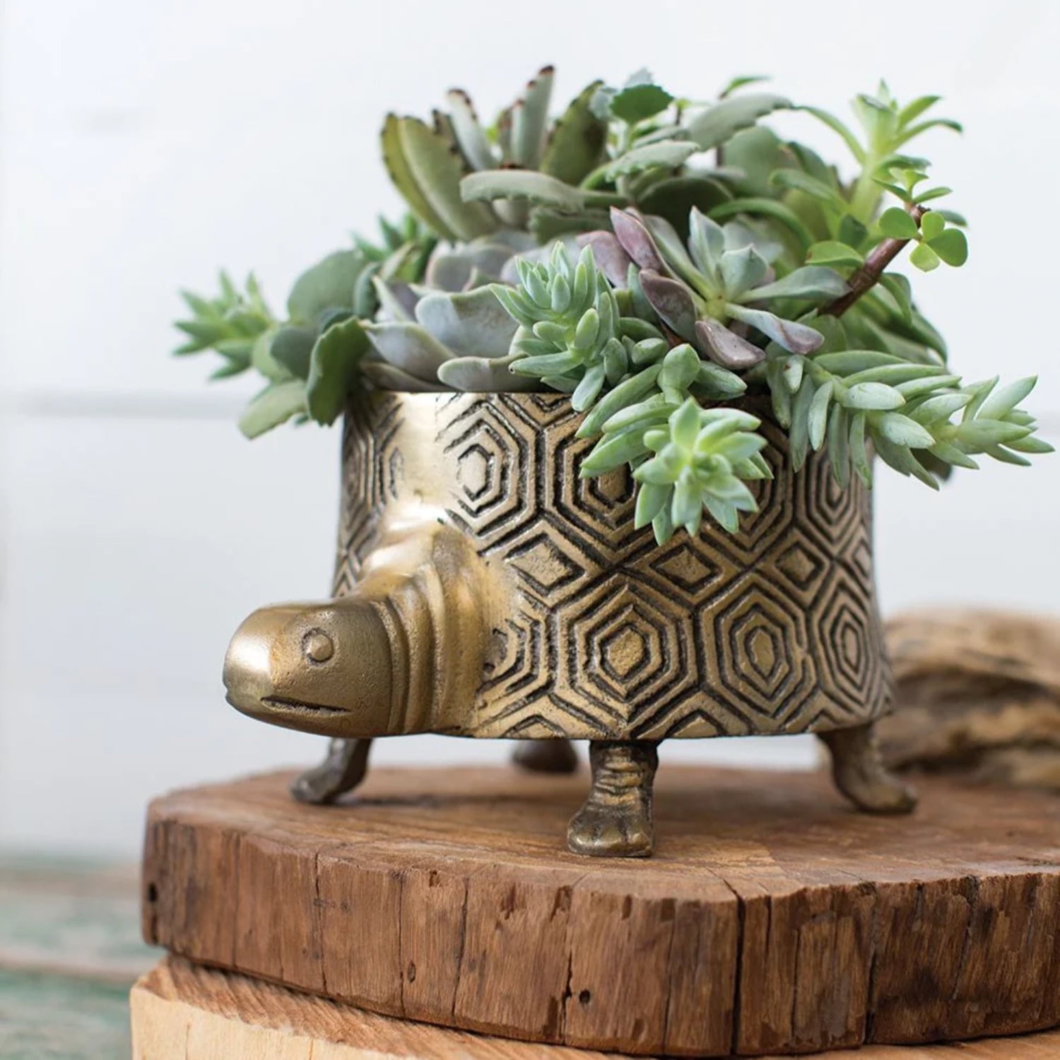 Turtle Garden Planter Tommie The Turtle Garden Planter