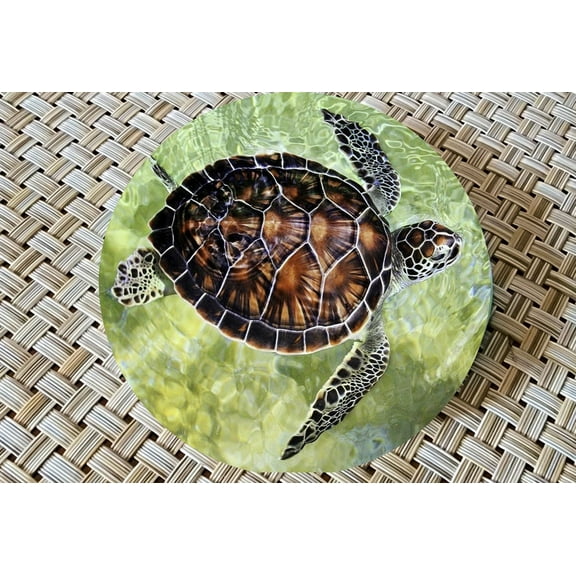 Turtle Glass Drink Coasters Ocean Vibe Nature-Inspired