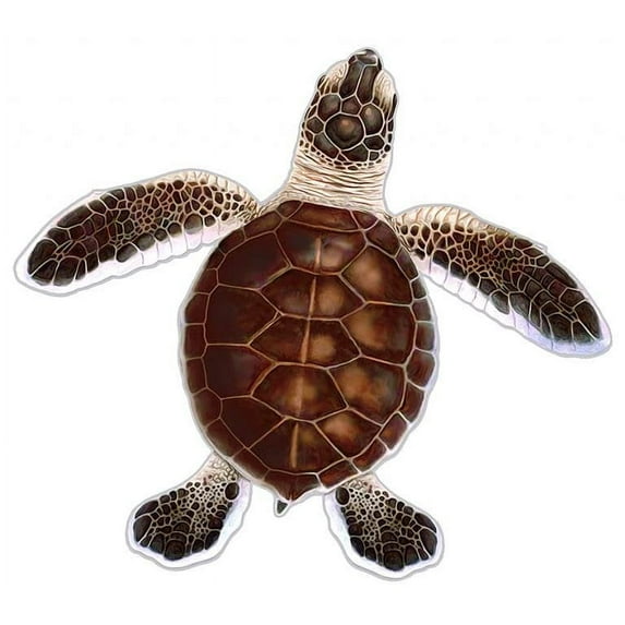 Turtle Hatchling Style C Porcelain Swimming Pool Mosaic Style C - 5" x 5", Brown