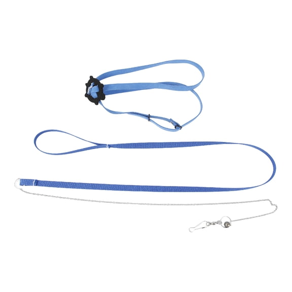 Turtle Leash Adjustable Pet Tortoise Harness Walking Rope for Outdoor Training Control Durable Lightweight Reptile Supplies