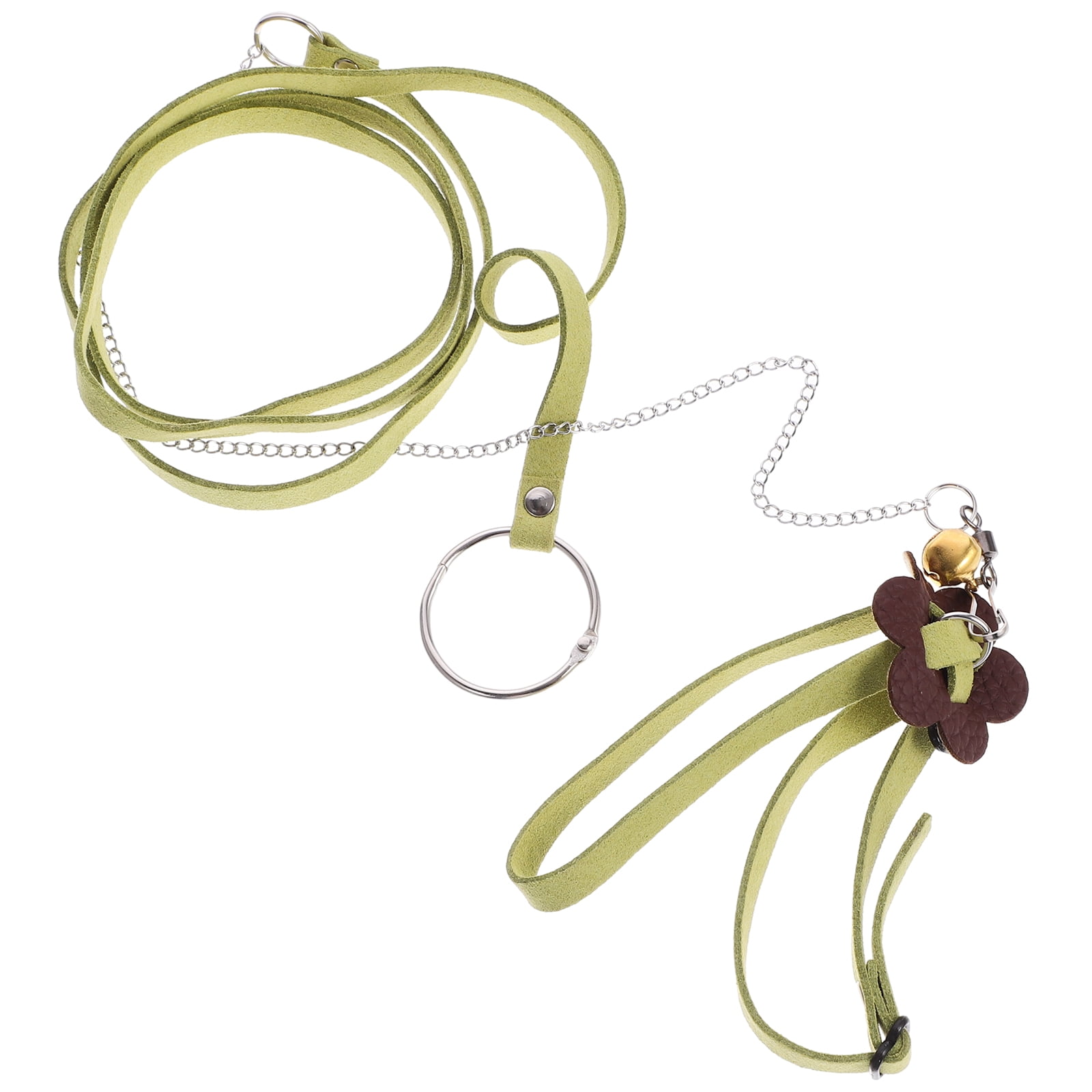 Turtle Leash Animals Harness Strap Belt Leashes Sea turtle Stainless ...