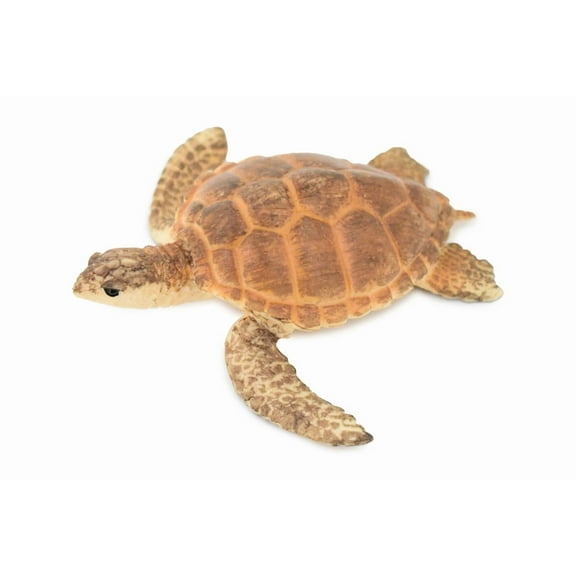 Turtle, Loggerhead Sea Turtle, Museum Quality, Hand Painted, Rubber Reptile, Realistic Toy Figure, Model, Replica, Kids, Educational, Gift, 3 1/2" CH291 BB128