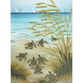 thumbnail image 1 of Turtle March Puzzle, 1 of 1