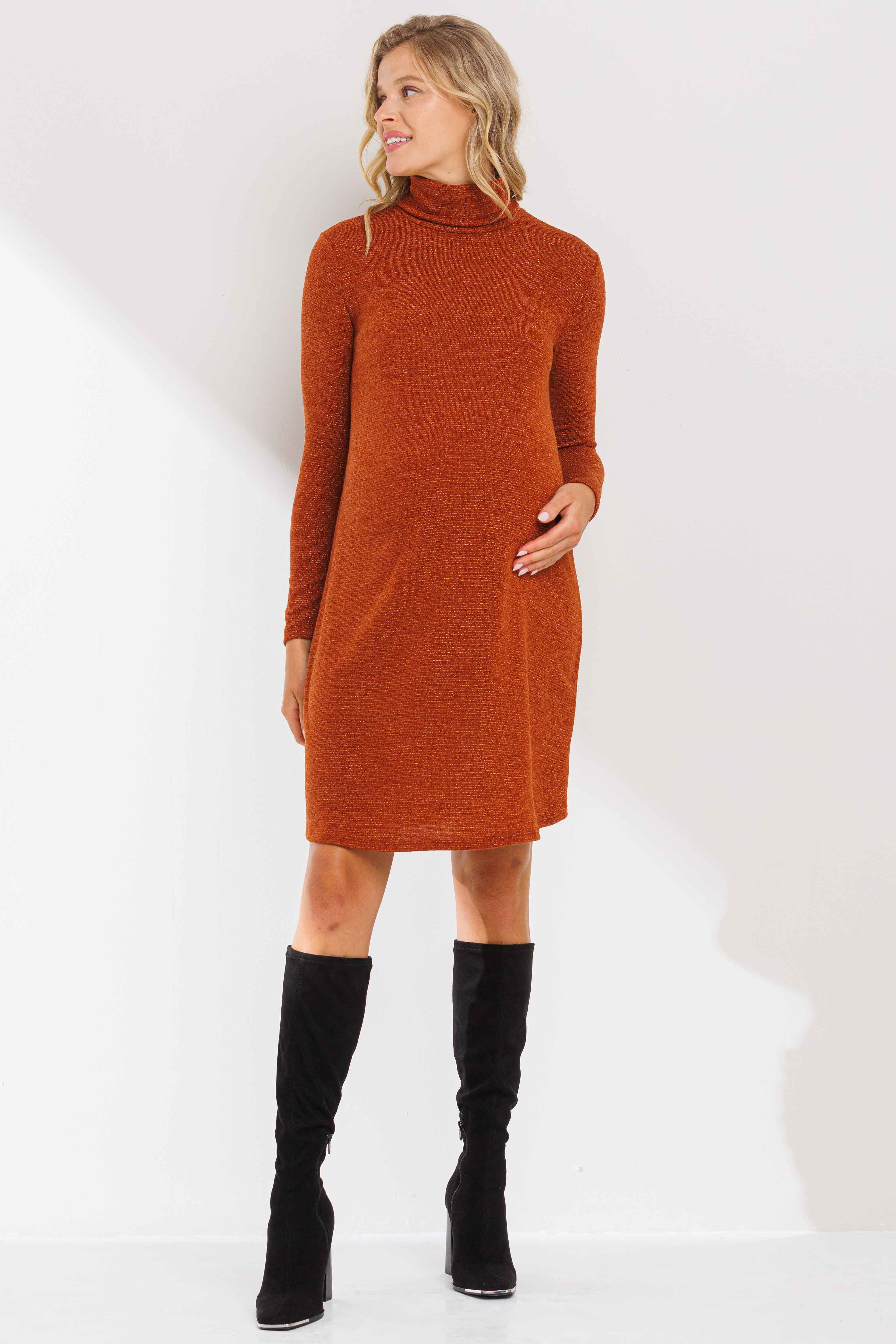 Turtle Neck Shimmer Maternity Knit Dress — free download