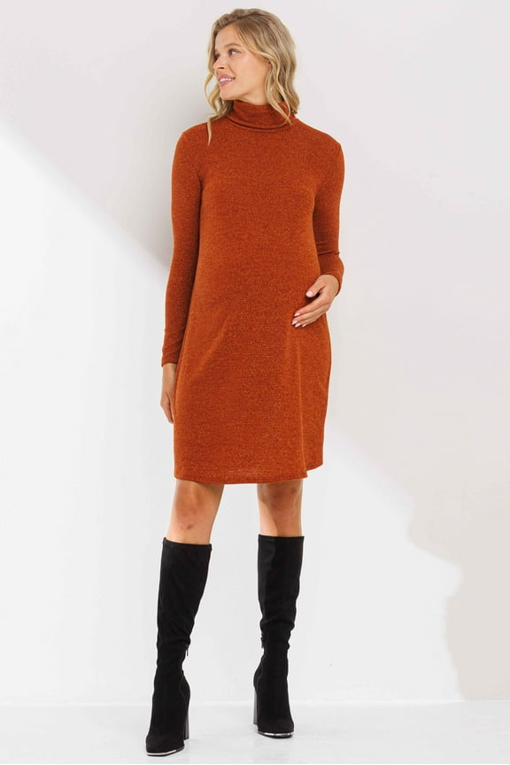 Turtle Neck Shimmer Maternity Knit Dress
