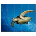 thumbnail image 1 of Turtle Photo Ceramic Tile Mural Kitchen Backsplash Bathroom Shower, 406061-S54, 1 of 3