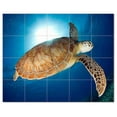 thumbnail image 1 of Turtle Picture Ceramic Tile Mural Kitchen Backsplash Bathroom Shower, 406073-S54, 1 of 3