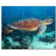 thumbnail image 1 of Turtle Picture Ceramic Tile Mural Kitchen Backsplash Bathroom Shower, 406077-S54, 1 of 3
