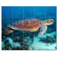 thumbnail image 1 of Turtle Picture Ceramic Tile Mural Kitchen Backsplash Bathroom Shower, 406077-XL5, 1 of 3