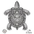 thumbnail image 1 of Turtle Pretty - 5" Vinyl Sticker - For Car Laptop I-Pad - Waterproof Decal, 1 of 1