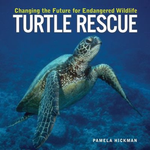 Pre-Owned Turtle Rescue: Changing the Future for Endangered Wildlife (Hardcover) 1552979156 9781552979150