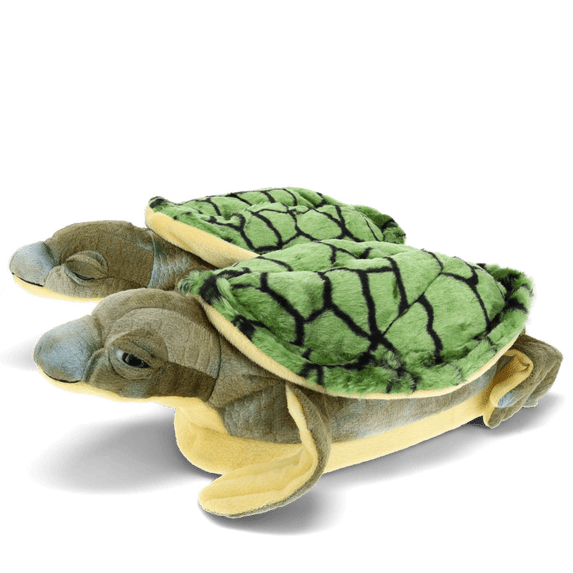 Turtle Slippers - Large