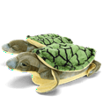 thumbnail image 1 of Turtle Slippers - Small, 1 of 4