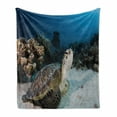 thumbnail image 1 of Turtle Soft Flannel Fleece Blanket, Underwater Sea Animal on Coral Reef in Red Sea Egypt Amphibian Exotic Nature, Cozy Plush for Indoor and Outdoor Use, 50" x 70", Brown Coconut Aqua, by Ambesonne, 1 of 6