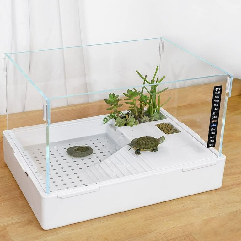 Small turtle terrarium clearance