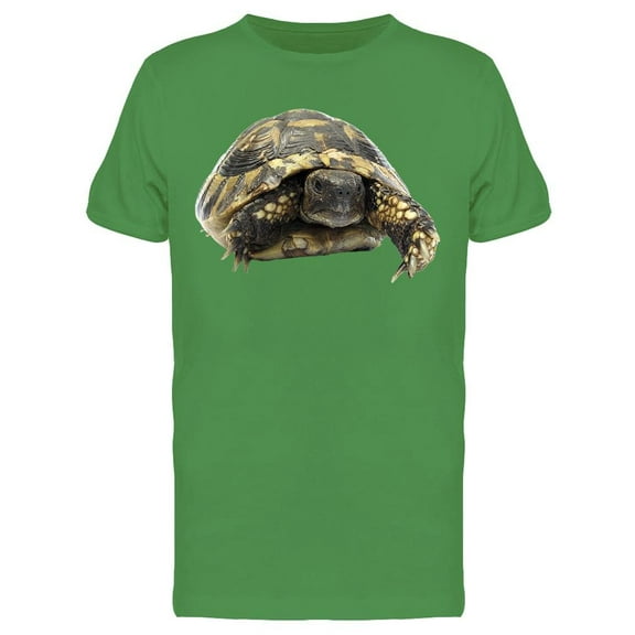 Turtle Testudo Hermanni Tortoise Tee Men's -Image by Shutterstock