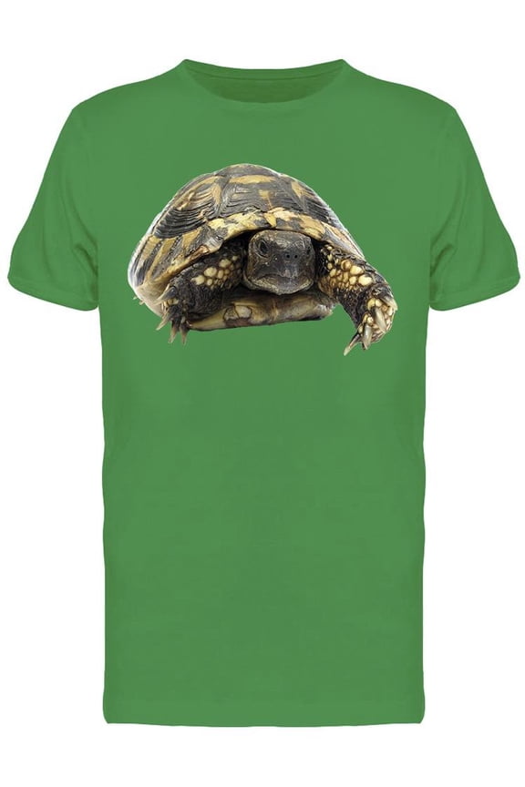 Turtle Testudo Hermanni Tortoise Tee Men's -Image by Shutterstock