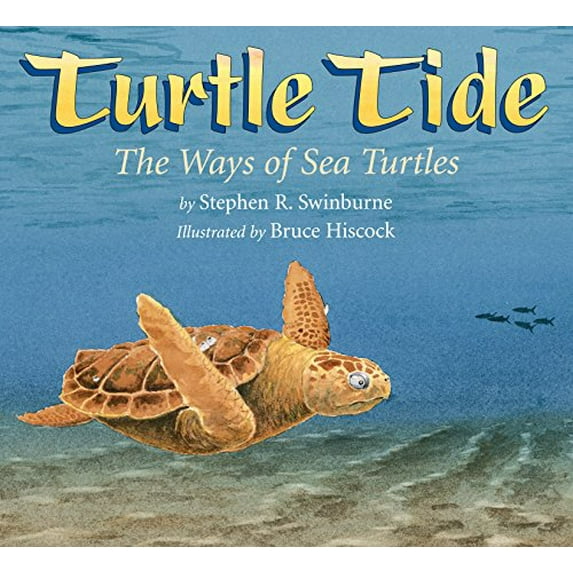 Pre-Owned Turtle Tide: The Ways of Sea Turtles (Paperback) 1590788273 9781590788271
