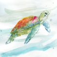 thumbnail image 1 of Turtle Tropics I Poster Print by Carol Robinson, 1 of 1